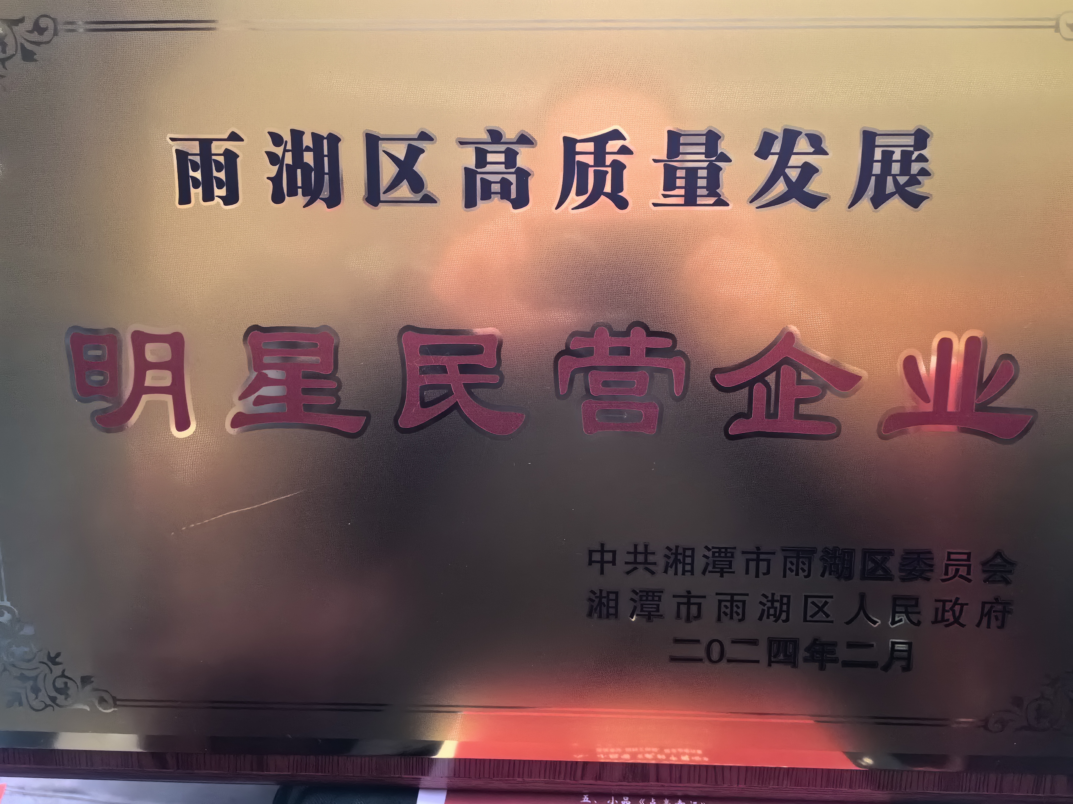 球友会平台荣获“雨湖区高质量发展明星民营企业”称号